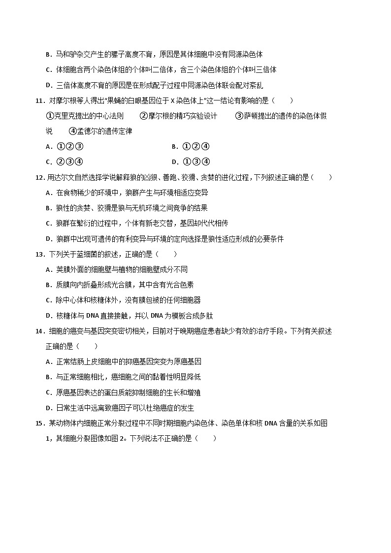 2022-2023学年高一下学期期末考前必刷卷：生物03卷（人教版必修第二册）（考试版）A4第3页