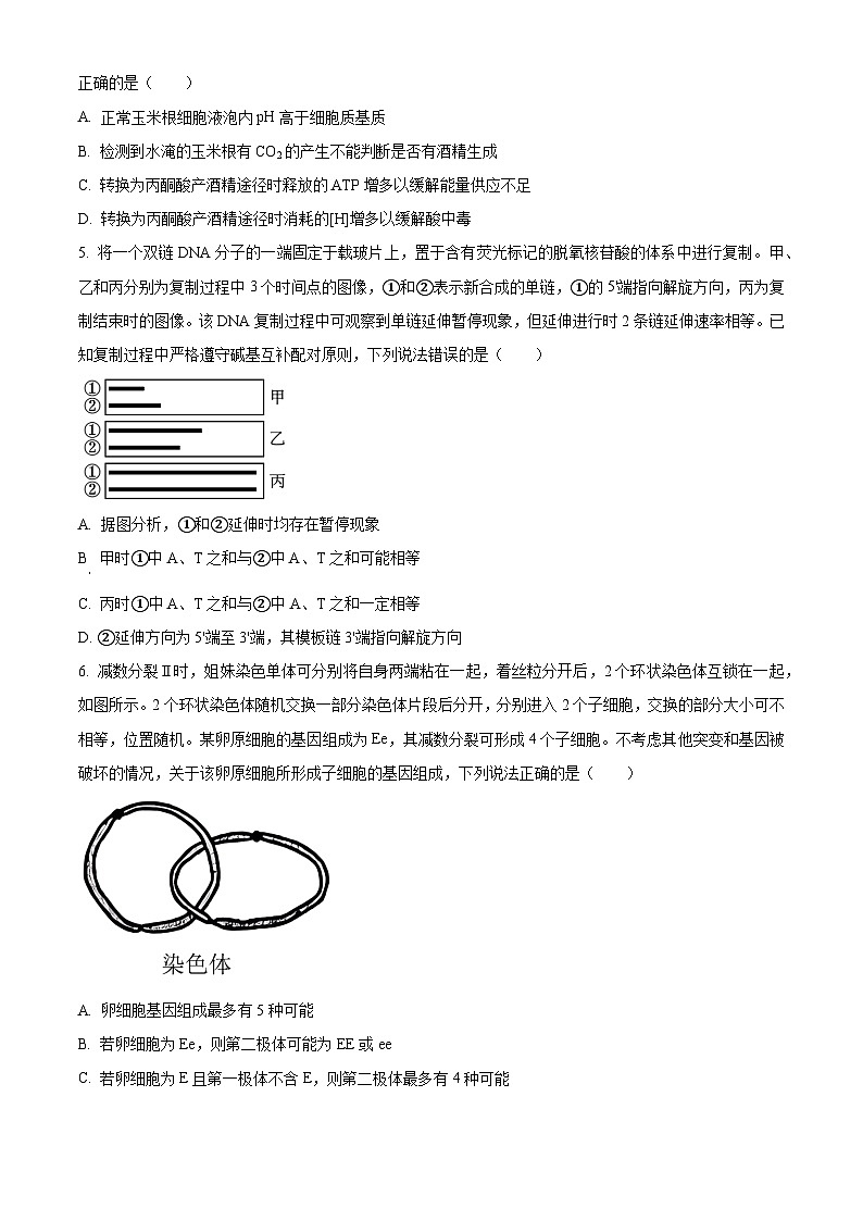 2023年新高考山东卷生物高考真题+答案解析02