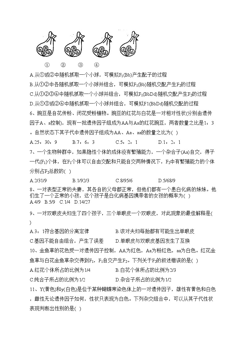 河南省郑州市十校2022-2023学年高一下学期期中联考生物试卷（含答案）02