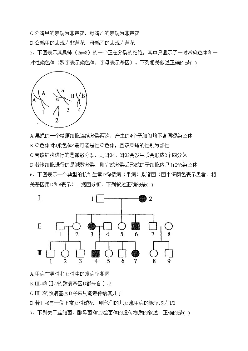江西省南昌市部分学校2022-2023学年高一下学期5月调研测试生物试卷（含答案）第2页