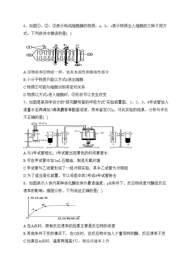 新疆乌鲁木齐市名校2021-2022学年高二下学期期末考试生物试卷（含答案）02