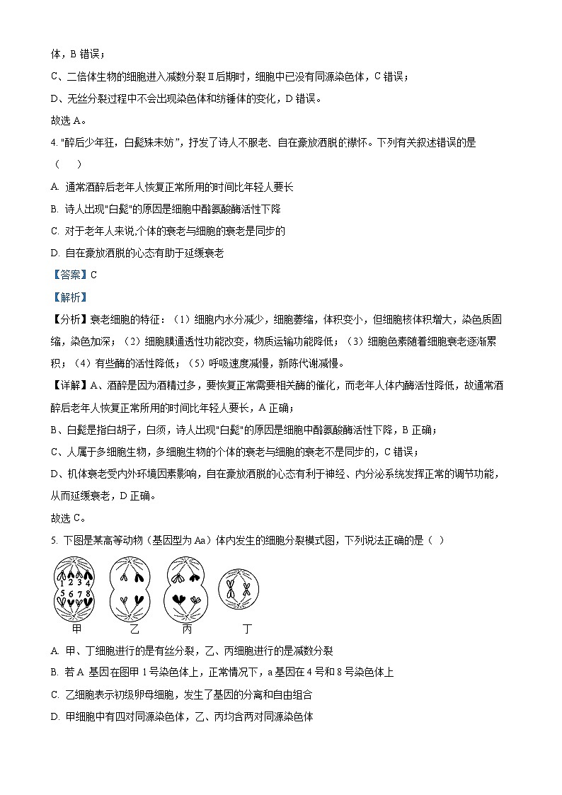 2023达州万源中学高一下学期5月期中生物试题含解析03