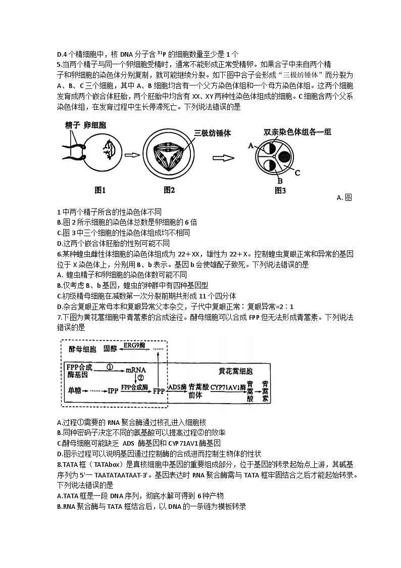 2022滨州高一下学期期末考试生物试题含答案02