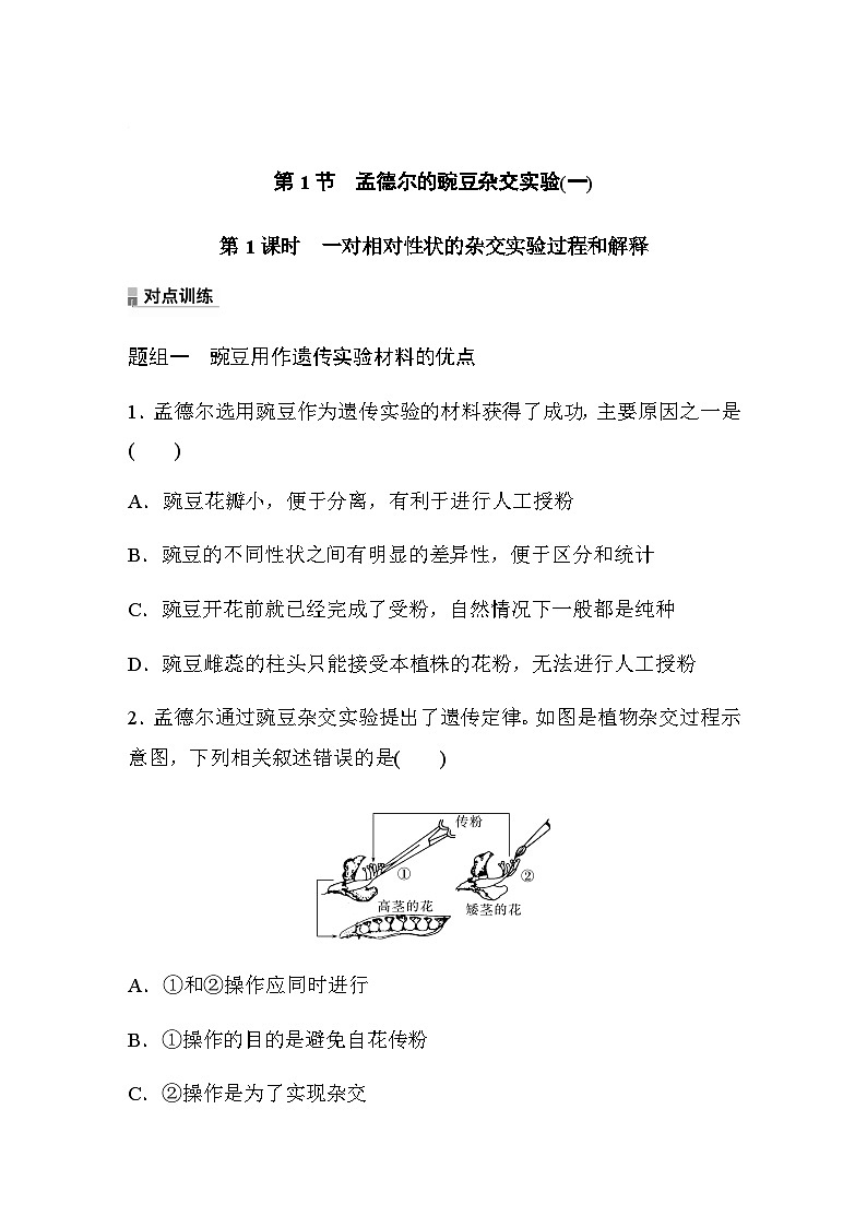 第1章　第1节　第1课时　一对相对性状的杂交实验过程和解释  课时练（含答案）01