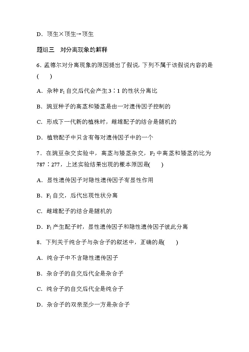 第1章　第1节　第1课时　一对相对性状的杂交实验过程和解释  课时练（含答案）03