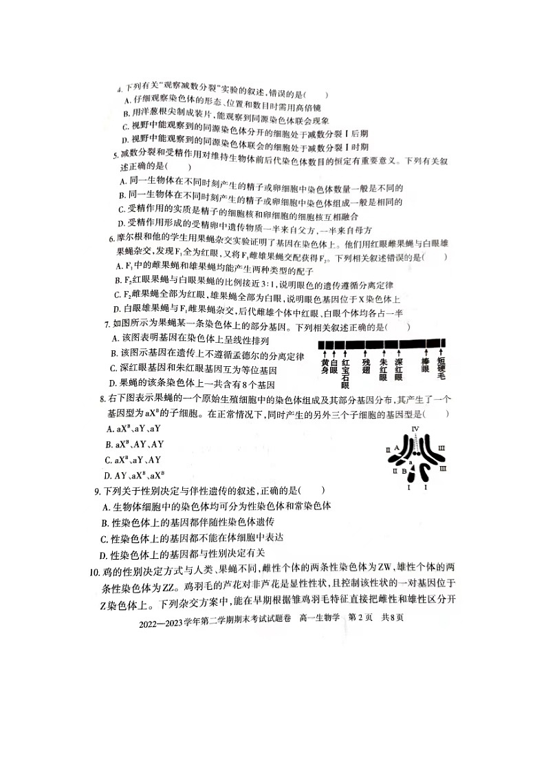 新疆维吾尔自治区2022-2023学年高一下学期期末考试生物试题02