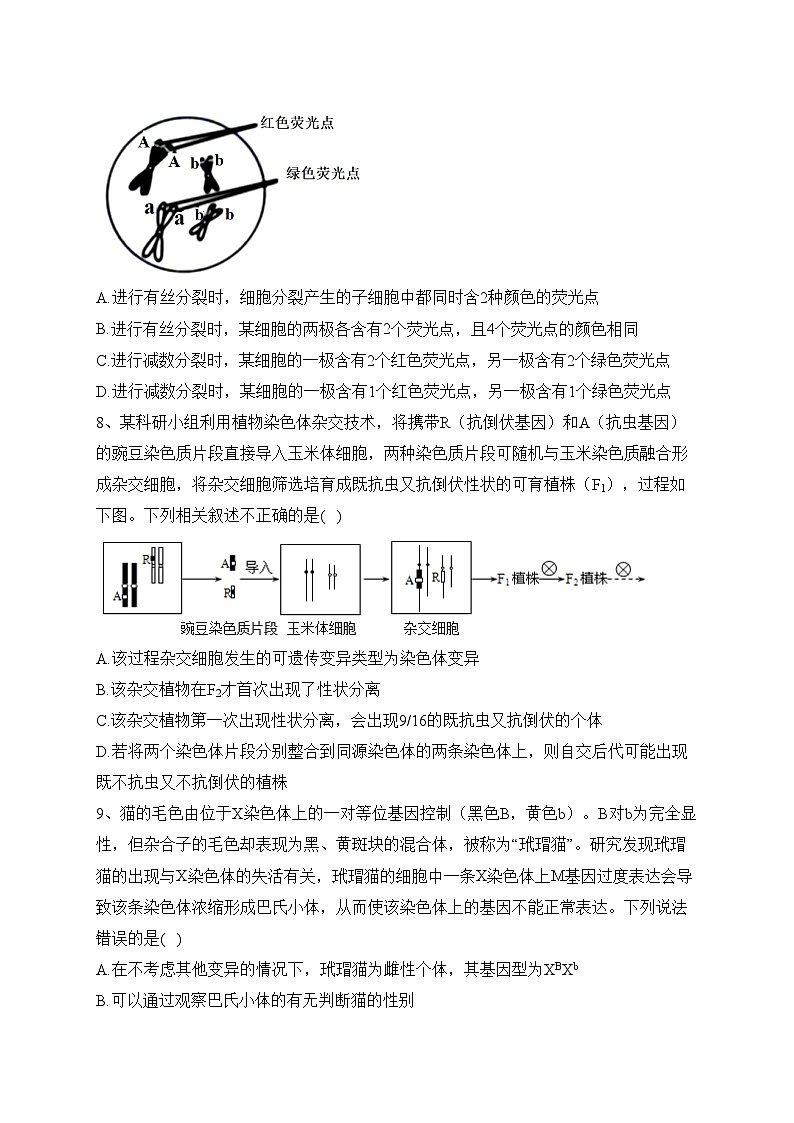 浙江省临海、新昌两地2023届高三下学期三模生物试卷（含答案）第3页