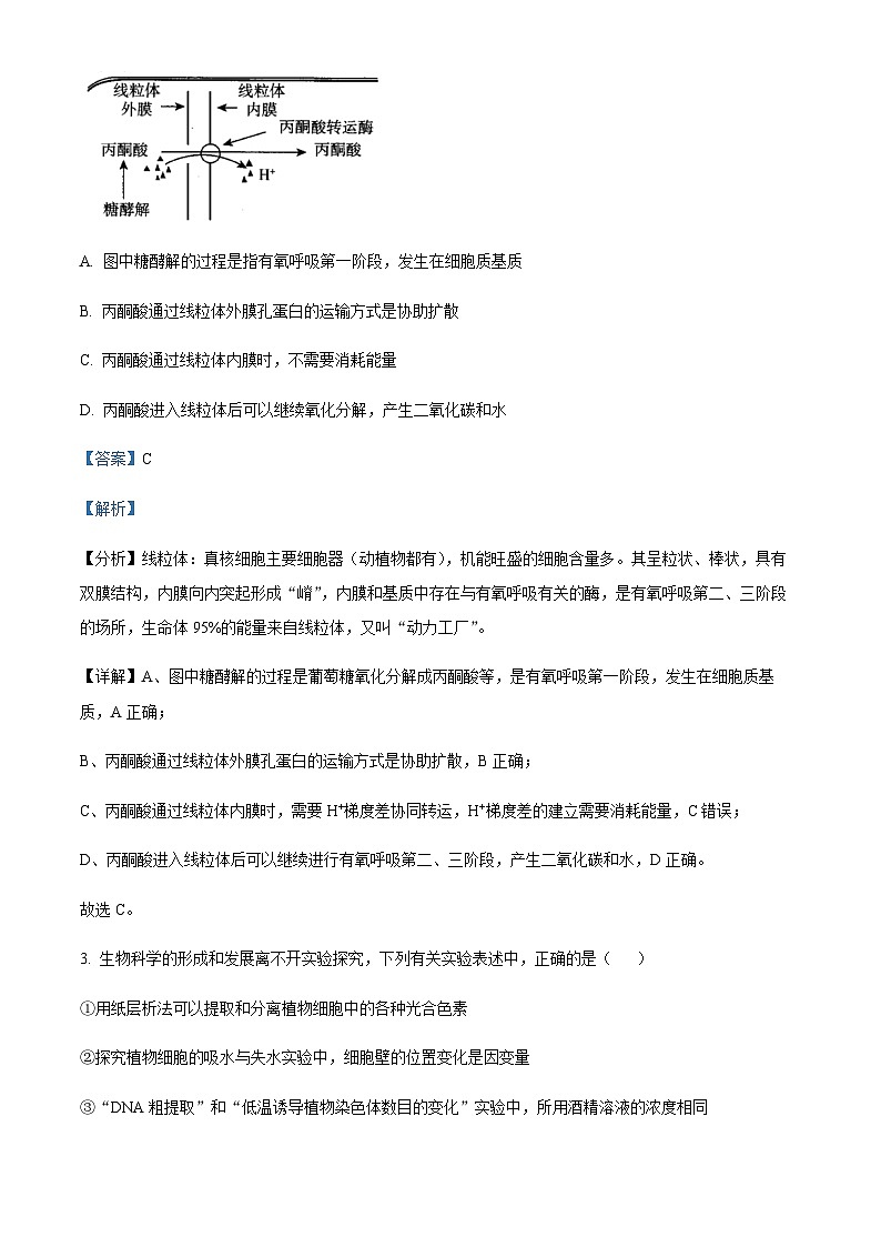 2023届辽宁省东北育才学校科学高中部高三最后一次模拟考试生物第2页