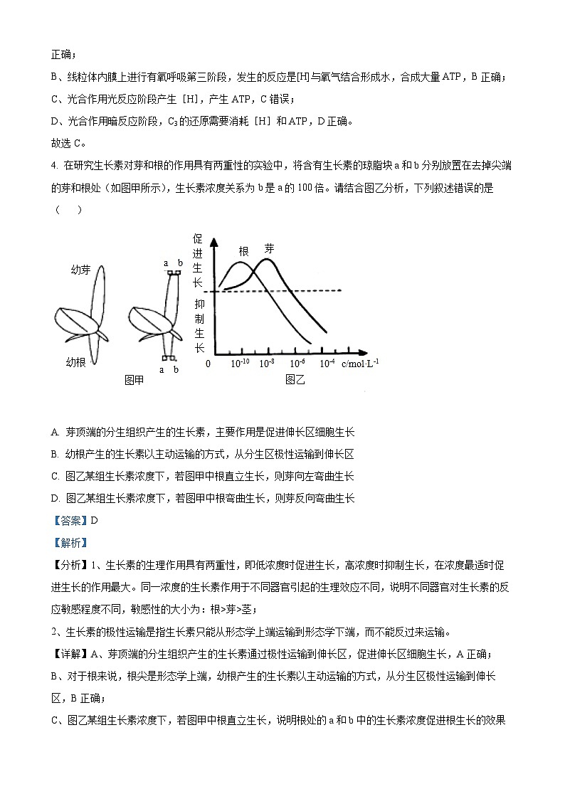 四川省眉山市仁寿第一中学（北校区）2023届高三生物下学期三模试题（Word版附解析）第3页