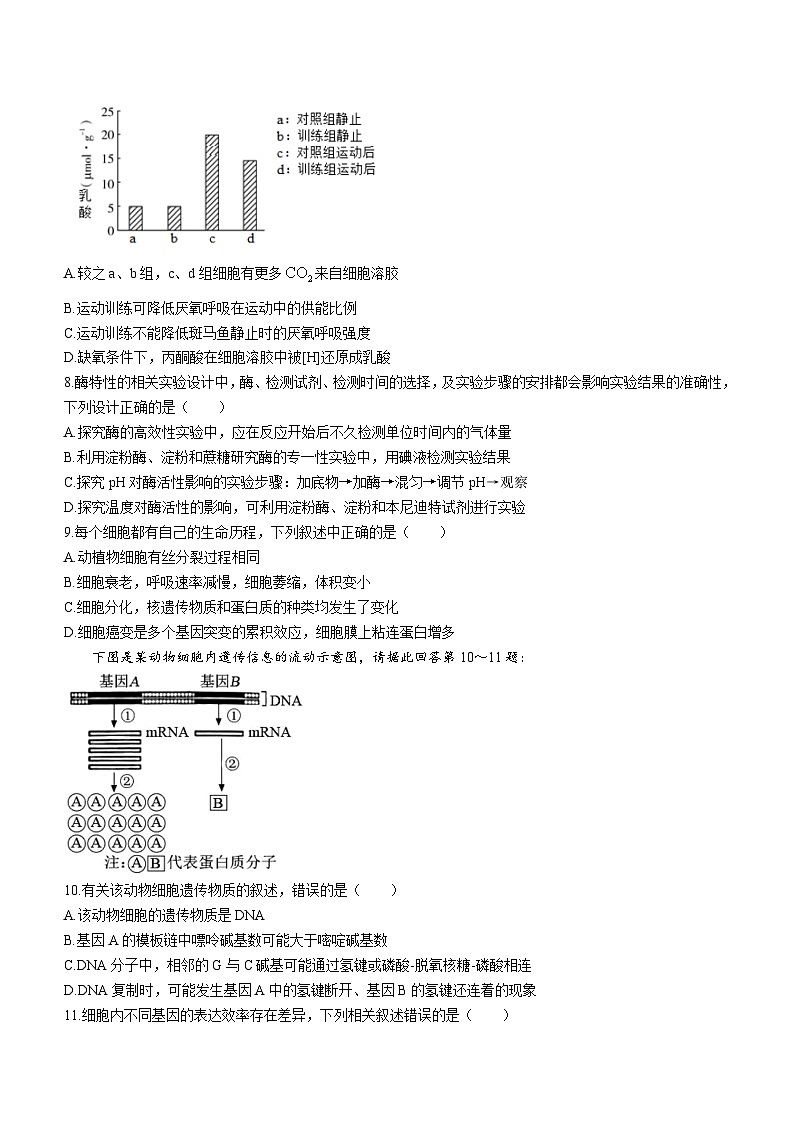 浙江省温州市十校联合体2022-2023高二下学期期末联考生物试卷+答案02