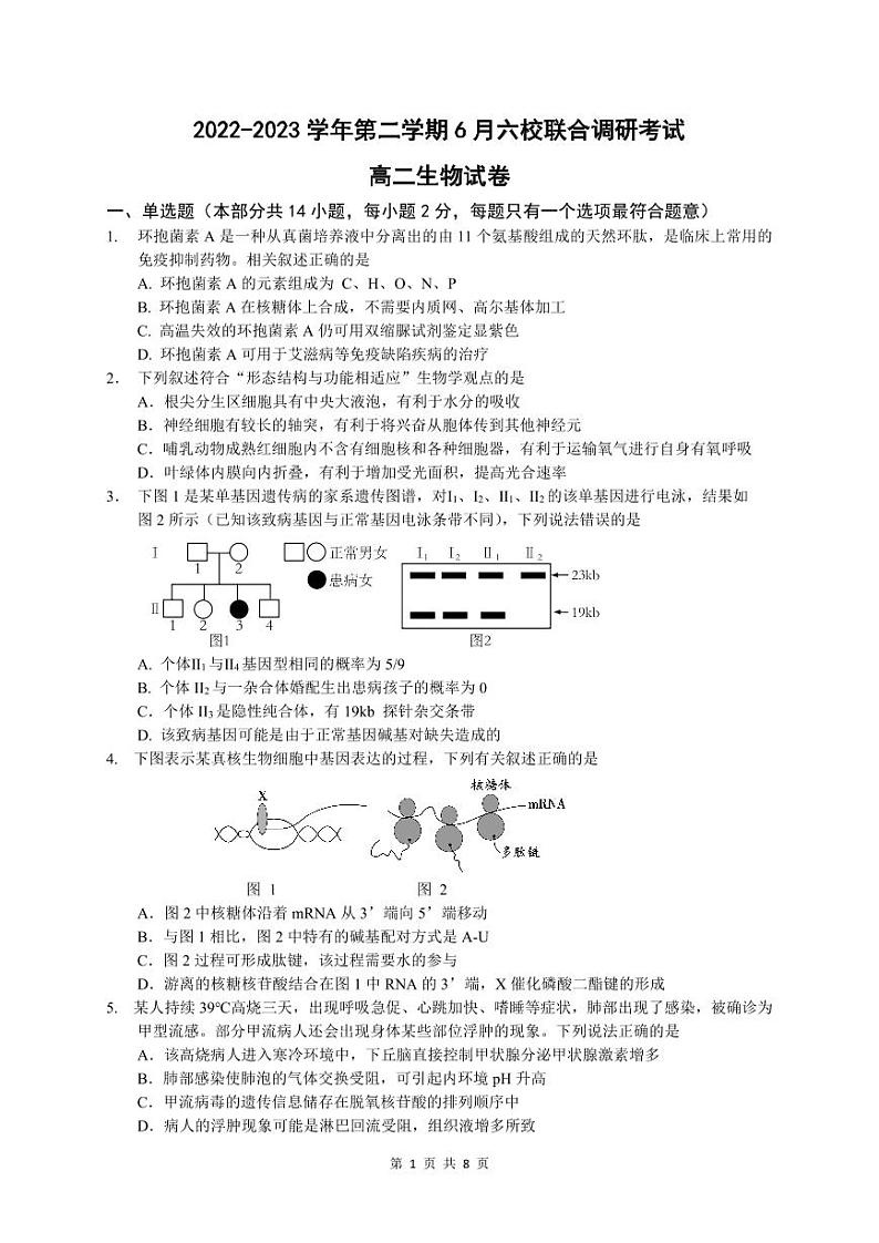 江苏省南京市六校联合体2022-2023高二下学期期末生物试卷+答案01