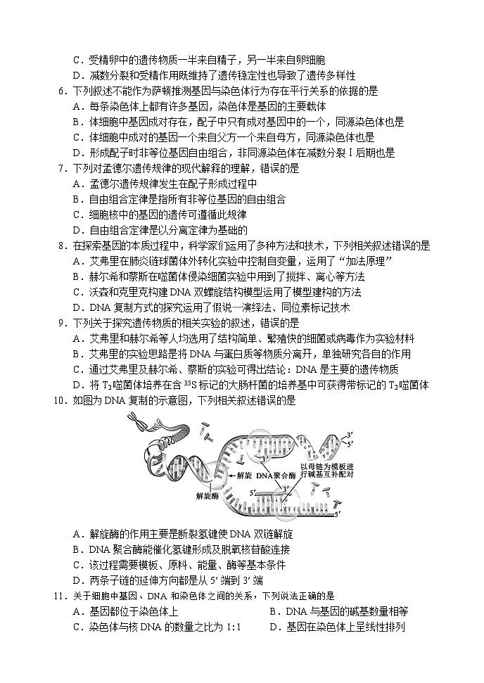 四川省成都市蓉城名校联盟2022-2023学年度高一生物下学期期末联考试题（Word版附解析）02
