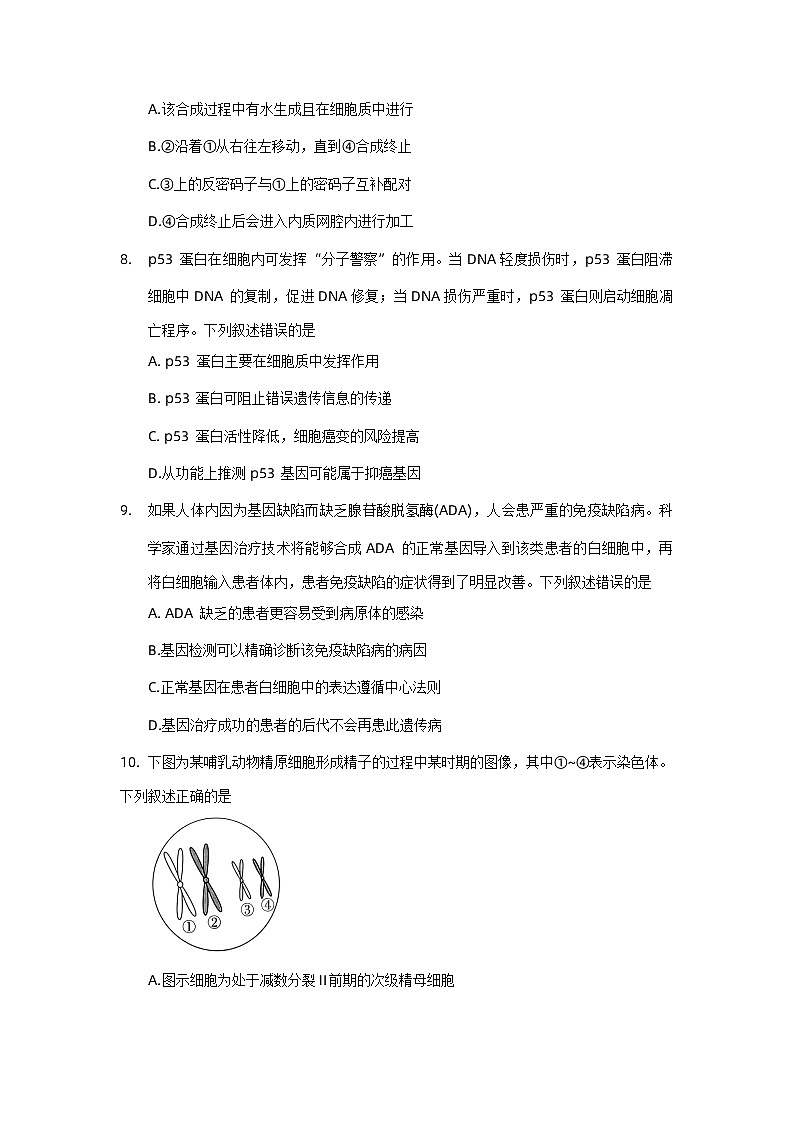 河南省双新大联考2022-2023学年高一生物下学期6月月考试题（Word版附解析）03