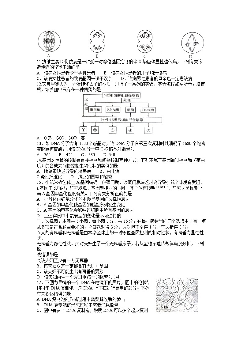 青海省海东市2022-2023学年高一生物下学期6月联考试题（Word版附答案）02