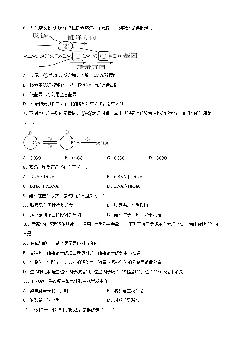 四川省成都外国语学校2022-2023学年高一生物下学期期末考试试题（Word版附答案）02