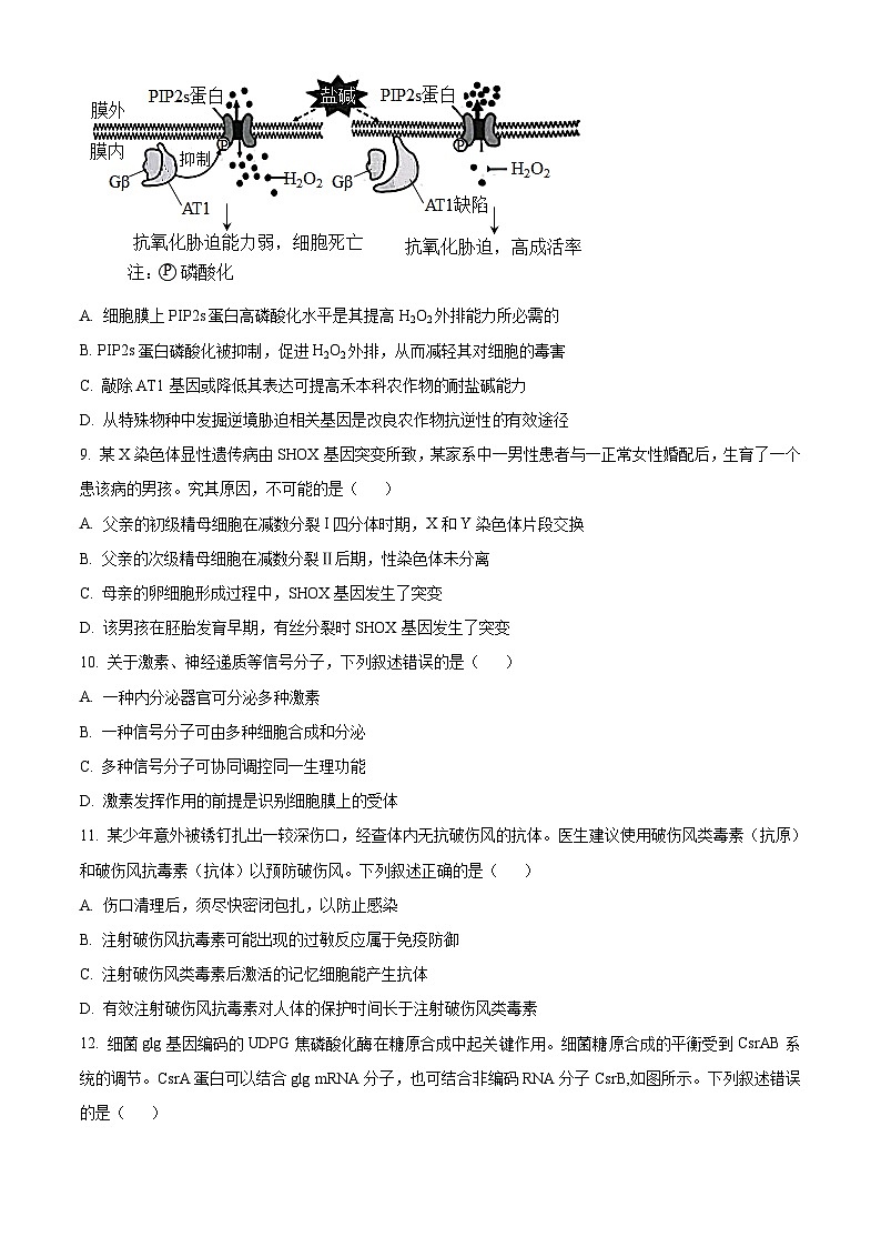 2023年高考真题——生物（湖南卷）（Word版附答案）03