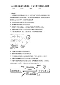 2023届山东省菏泽市鄄城县一中高三第三次模拟生物试题（含解析）