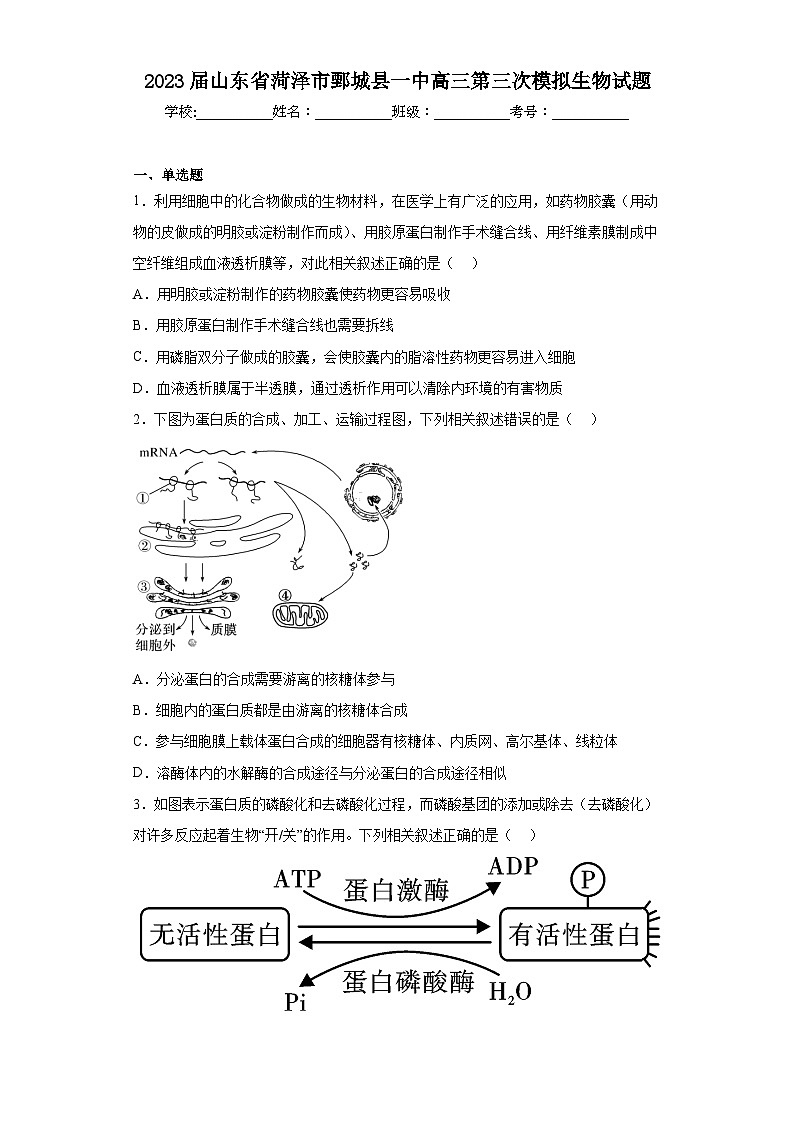 2023届山东省菏泽市鄄城县一中高三第三次模拟生物试题（含解析）第1页
