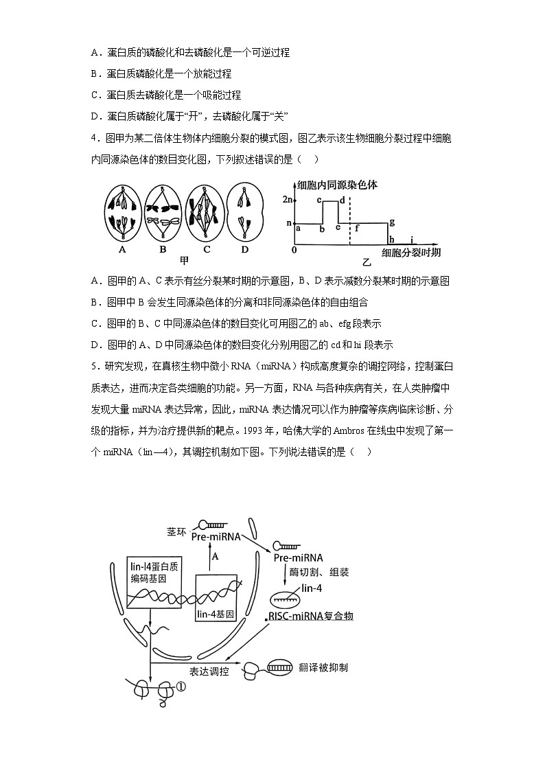 2023届山东省菏泽市鄄城县一中高三第三次模拟生物试题（含解析）第2页
