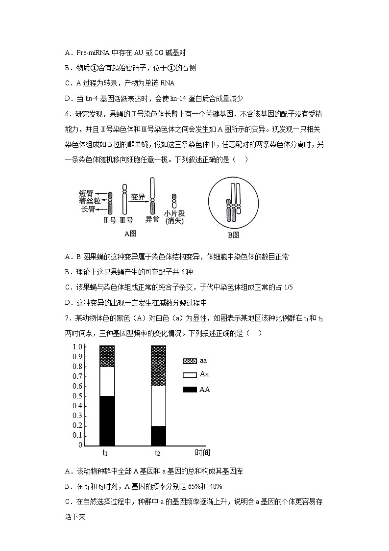2023届山东省菏泽市鄄城县一中高三第三次模拟生物试题（含解析）第3页