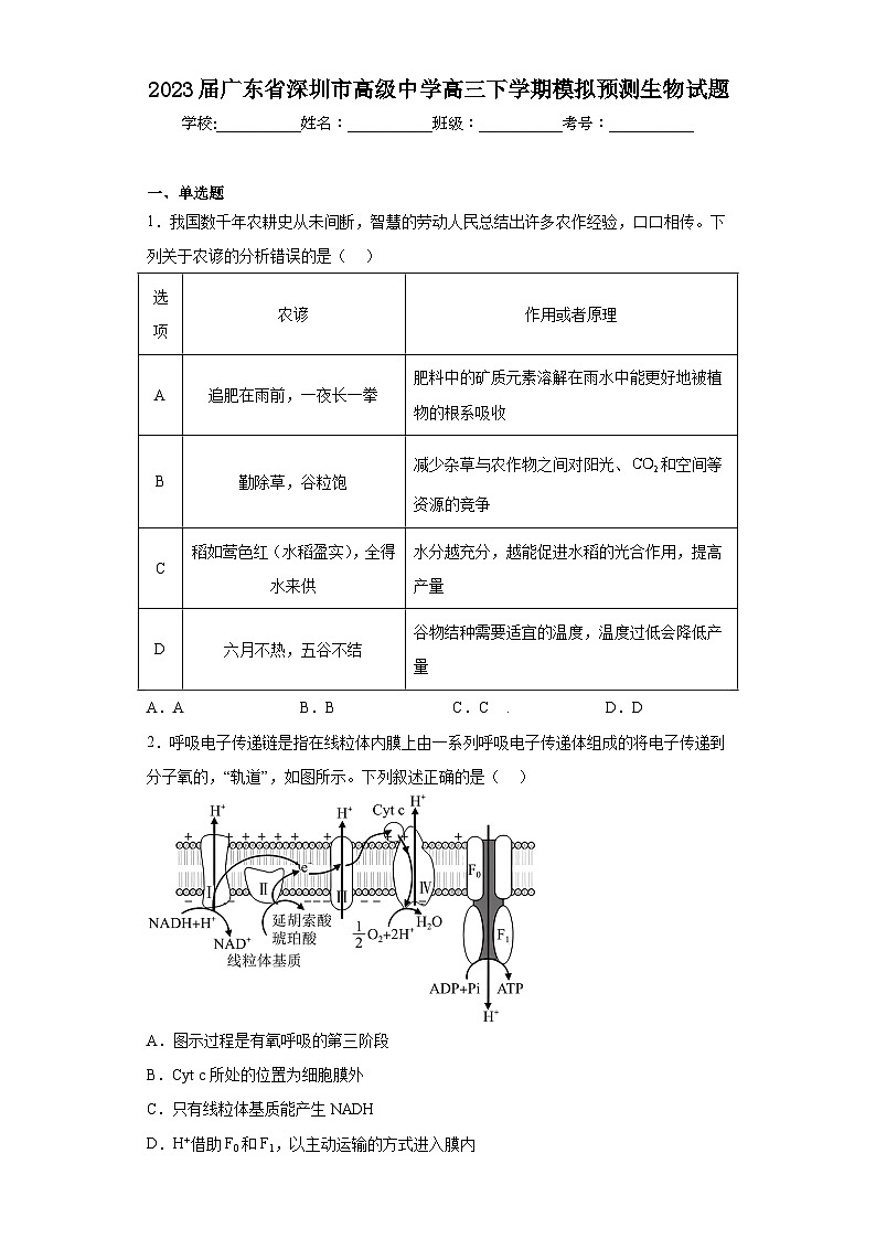 2023届广东省深圳市高级中学高三下学期模拟预测生物试题（含解析）第1页