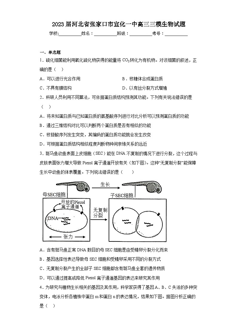 2023届河北省张家口市宣化一中高三三模生物试题（含解析）01