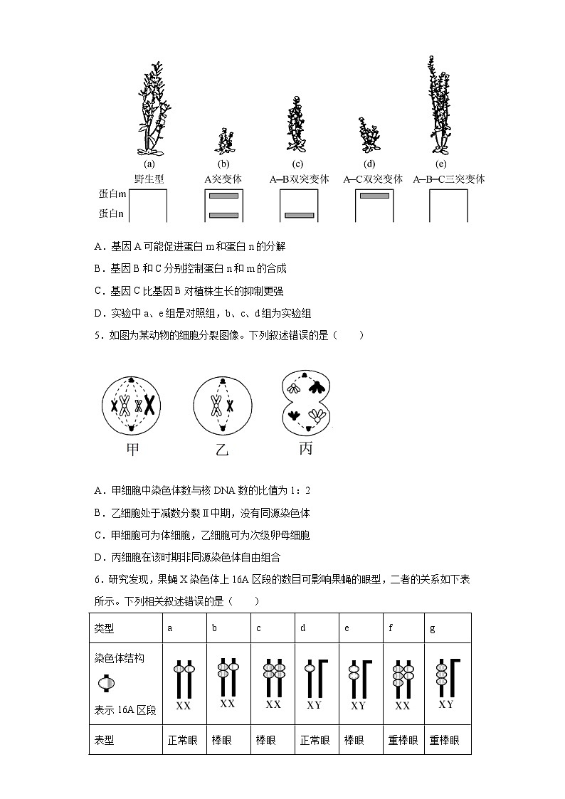 2023届河北省张家口市宣化一中高三三模生物试题（含解析）02