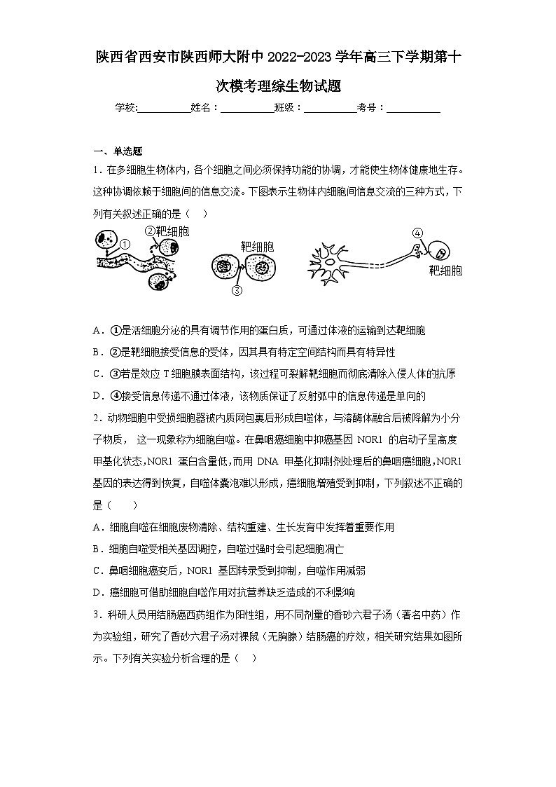 陕西省西安市陕西师大附中2022-2023学年高三下学期第十次模考理综生物试题（含解析）01