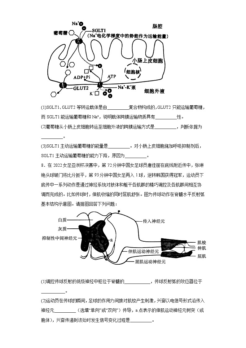 2022届广西柳州市高三三模理综生物试题（含解析）03
