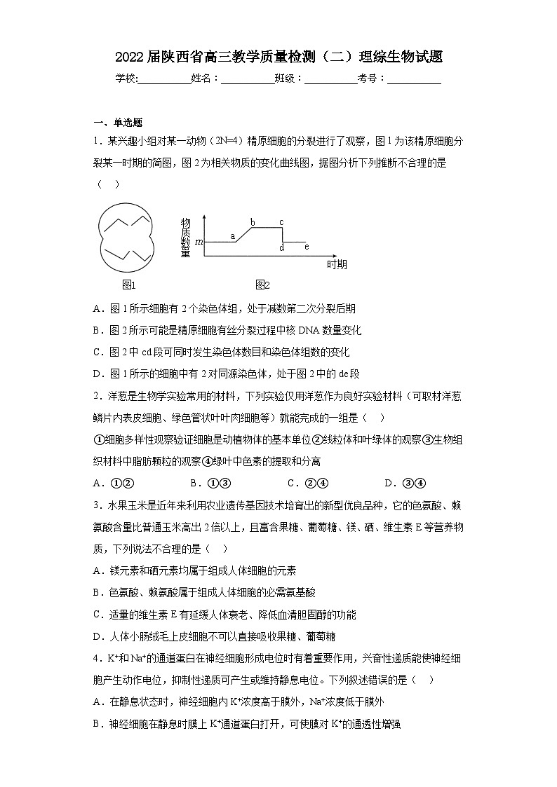 2022届陕西省高三教学质量检测（二）理综生物试题（含解析）01