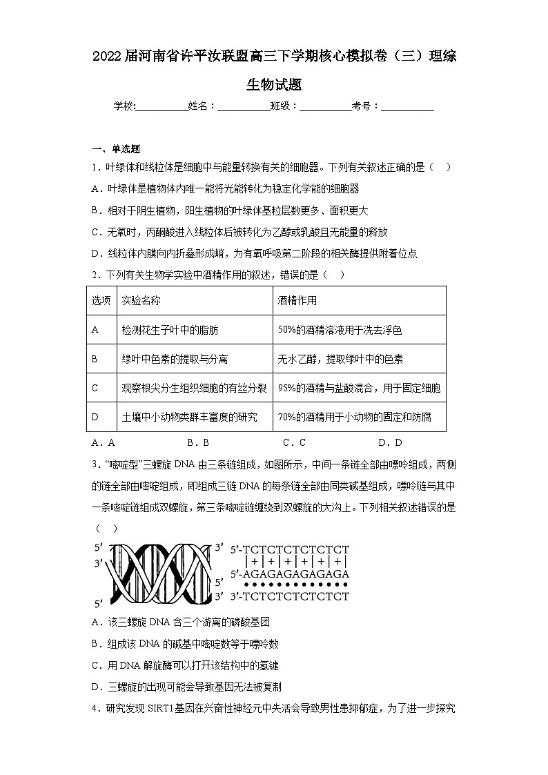 2022届河南省许平汝联盟高三下学期核心模拟卷（三）理综生物试题（含解析）第1页