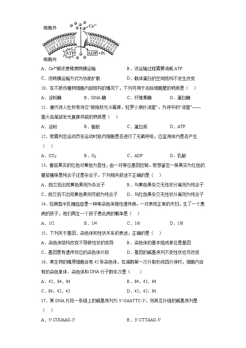 北京市海淀区2022-2023学年高一下学期合格考模拟考试生物试题（含解析）02