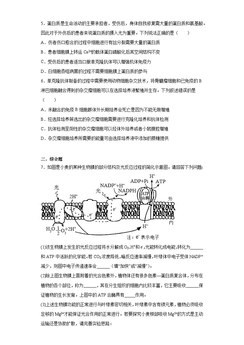 2023届云南省曲靖市二中高三适应性考试理综生物试题（含解析）02