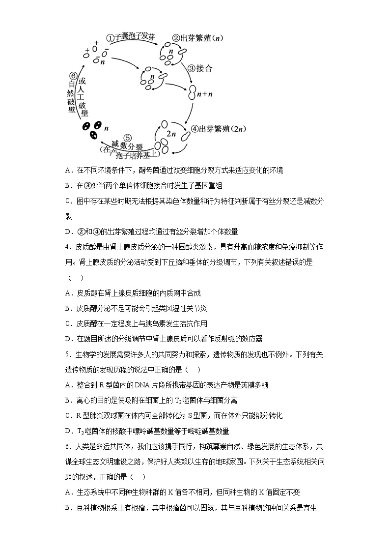 2022届安徽省示范高中皖北协作区高三3月联考理综生物试题（含解析）02