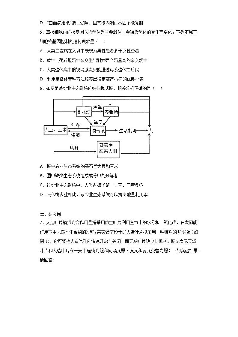 2022届内蒙古呼伦贝尔市部分校高考模拟理综生物试题（含解析）02
