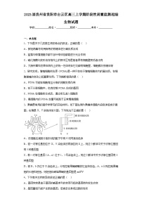 2023届贵州省贵阳市白云区高三上学期阶段性质量监测理综生物试题（含解析）