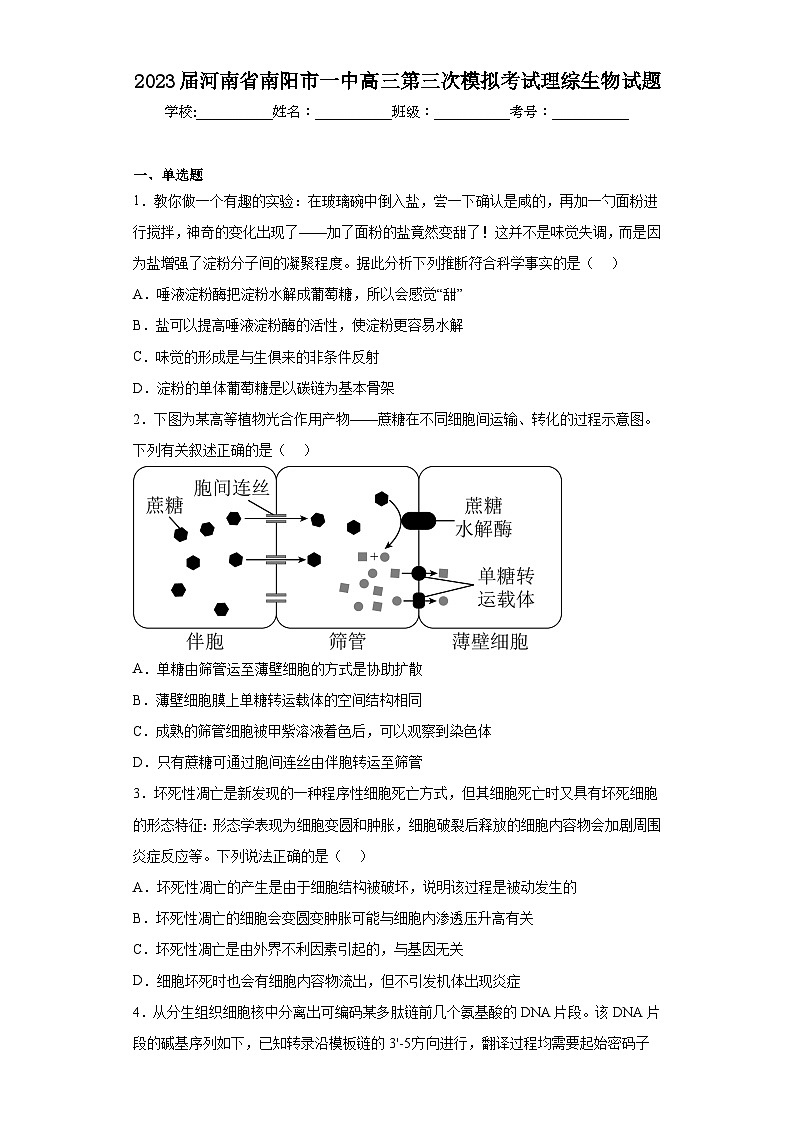 2023届河南省南阳市一中高三第三次模拟考试理综生物试题（含解析）01