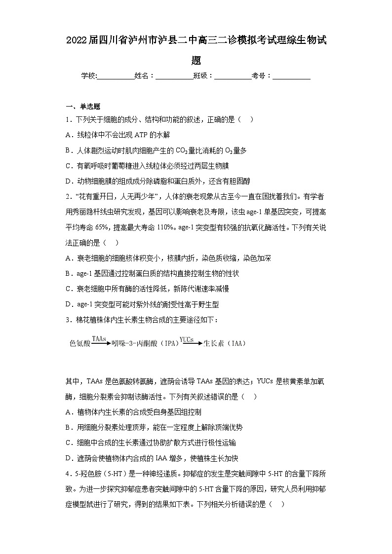2022届四川省泸州市泸县二中高三二诊模拟考试理综生物试题（含解析）01