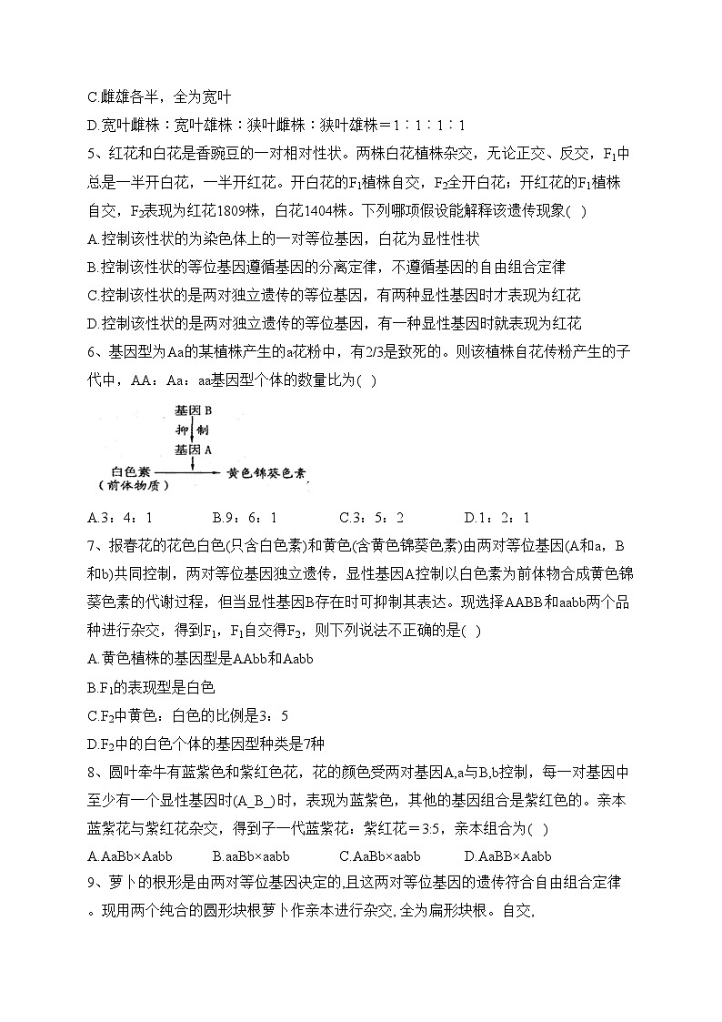 石河子第一中学2022-2023学年高一下学期5月月考生物试卷（含答案）02