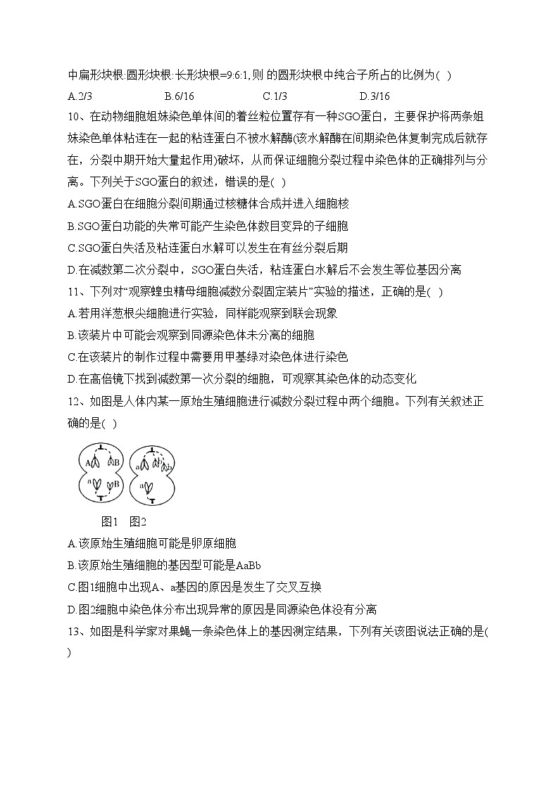 石河子第一中学2022-2023学年高一下学期5月月考生物试卷（含答案）03