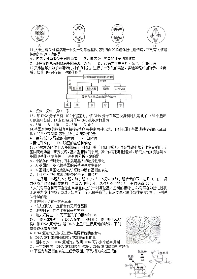 2023青海省海东市高一下学期6月联考生物试题含答案02