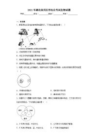 2021年湖北省武汉市结业考试生物试题（含解析）