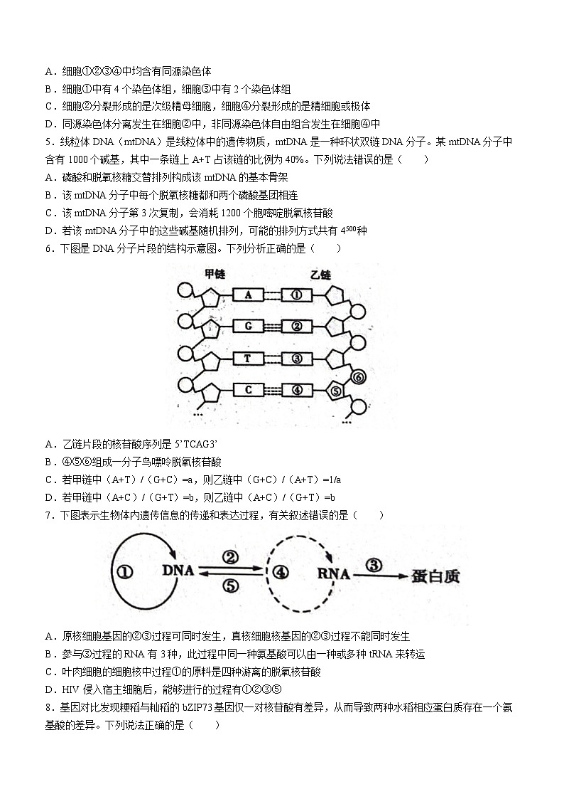 河北省邢台市部分学校2022-2023学年高一生物下学期6月月考试题（Word版附答案）02