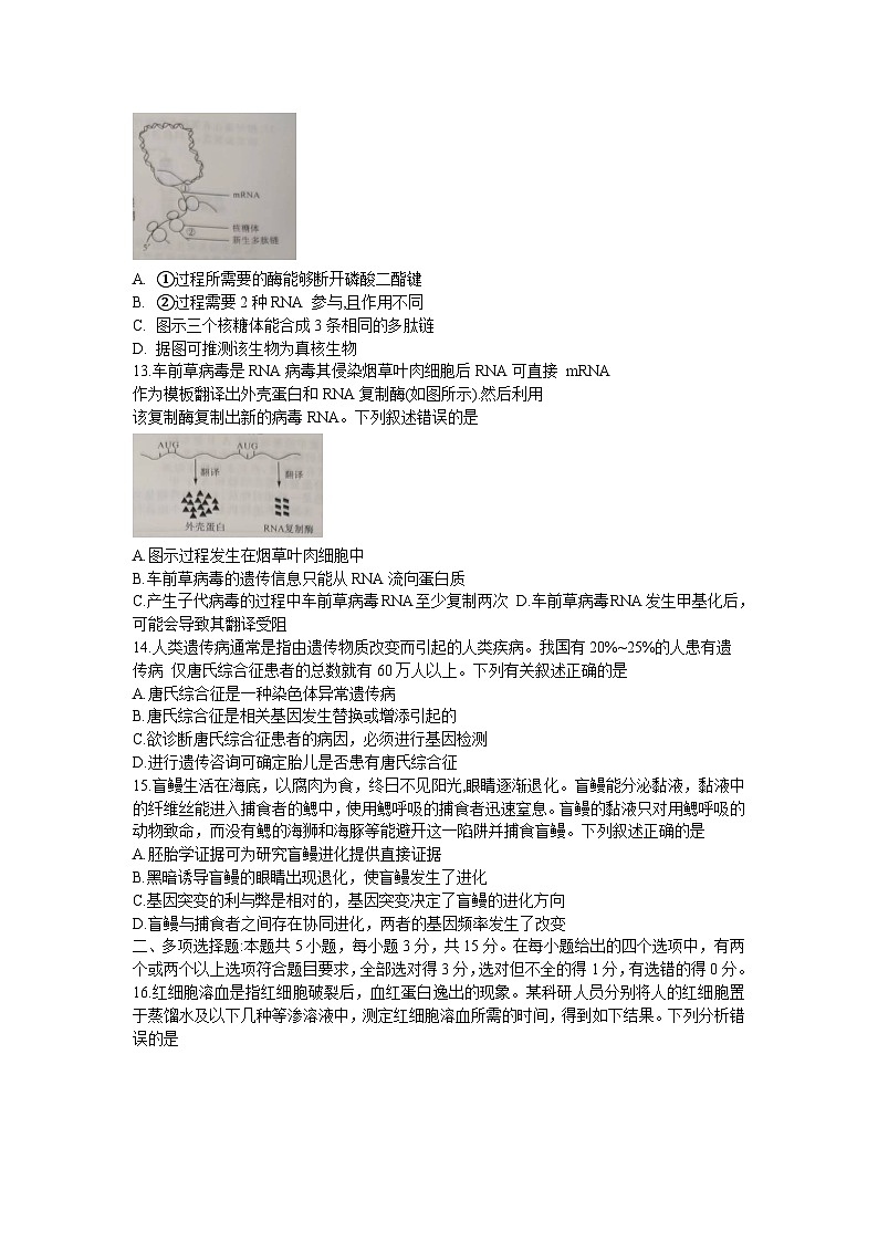 河南省新未来2022-2023学年高一生物下学期6月期末联考试题（Word版附解析）第3页