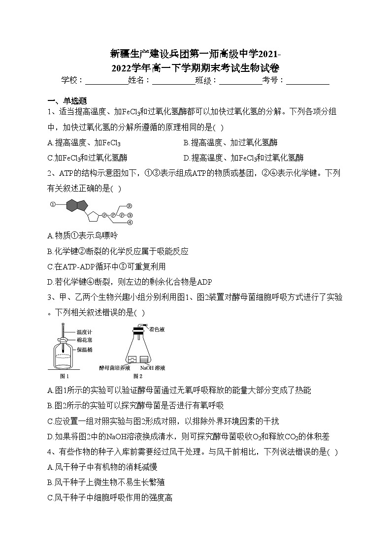 新疆生产建设兵团第一师高级中学2021-2022学年高一下学期期末考试生物试卷（含答案）01