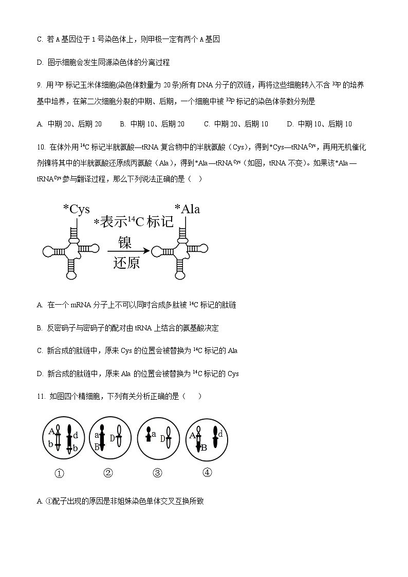 天津市南开区 2022-2023学年高一下学期期末阶段性质量检测生物试题03
