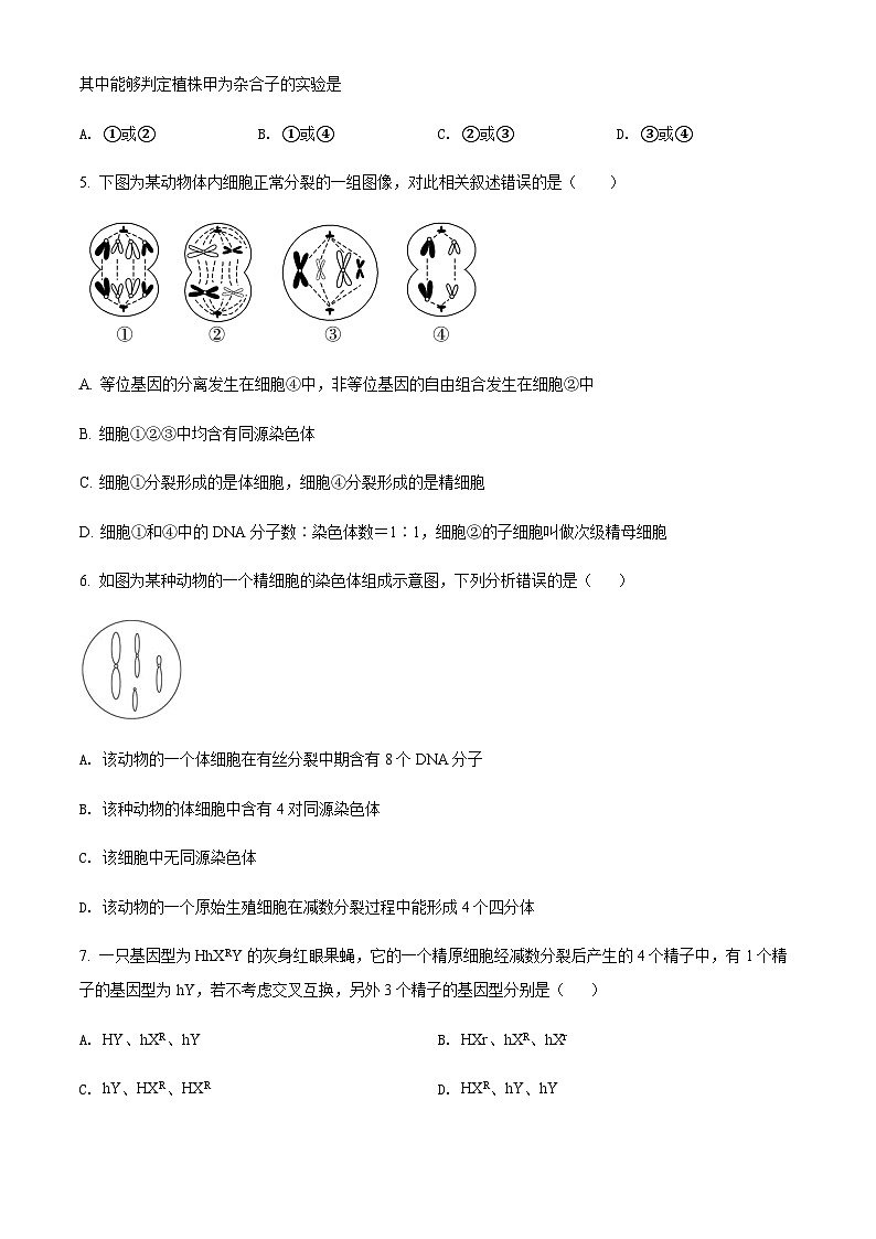 天津市西青区杨柳青一中 2022-2023学年高一下学期期末适应性测试生物试题02