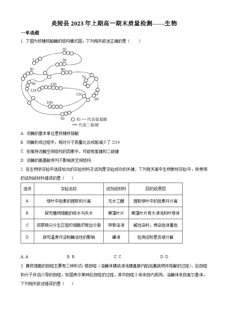 2023株洲炎陵县高一下学期6月期末生物试题含解析01