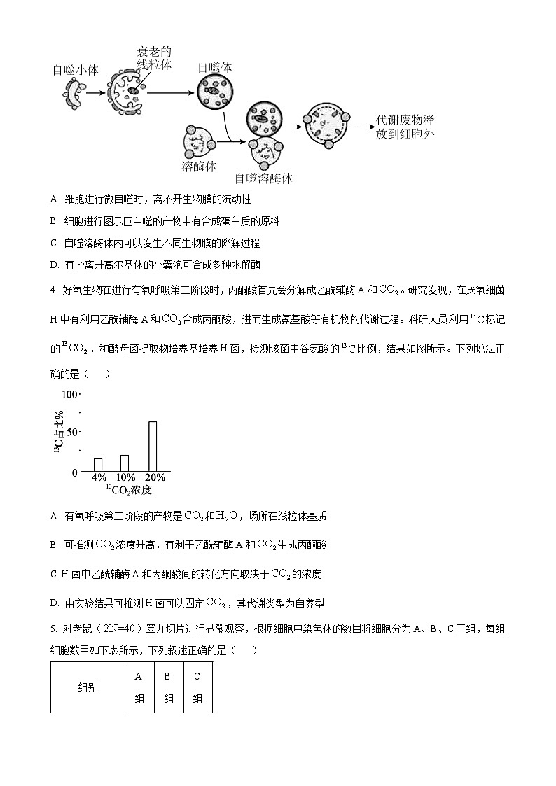 2023株洲炎陵县高一下学期6月期末生物试题含解析02