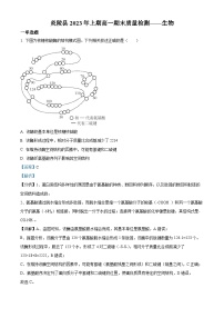 2023株洲炎陵县高一下学期6月期末生物试题含解析